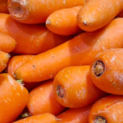 1984 – George Orwell