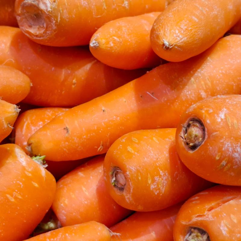 1984 – George Orwell